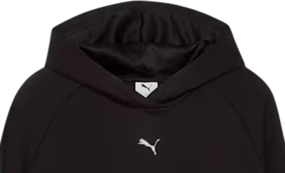 PUMA ESS ELEVATED Satin Hoodie FL ΦΟΥΤΕΡ ΜΕ ΚΟΥΚΟΥΛΑ