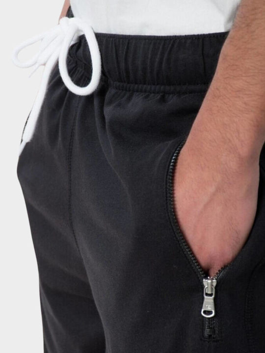 CHAMPION Bermuda (219929)