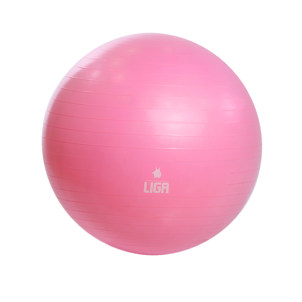 GBS-R Μπάλα γυμναστικής 55cm Gym Ball  ροζ LIGA 