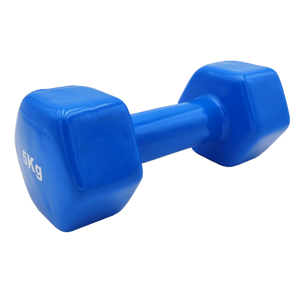 VINYL DUMBBELL ΑΛΤΗΡΑΣ ΒΙΝΥΛΙΟΥ 5kg (χρώμα μπλε) (OEND390399-5)
