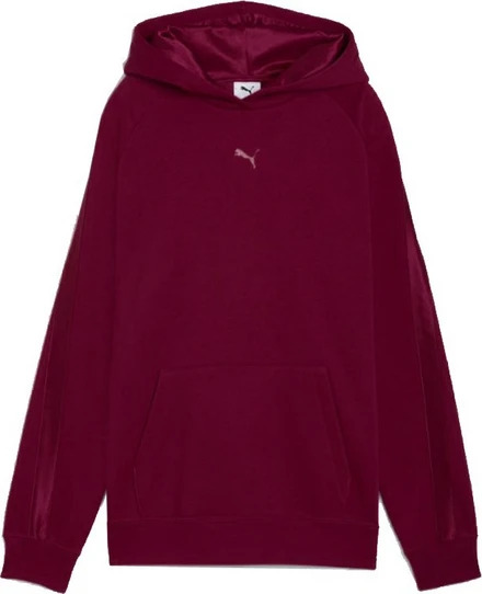 PUMA ESS ELEVATED Satin Hoodie FL ΦΟΥΤΕΡ ΜΕ ΚΟΥΚΟΥΛΑ