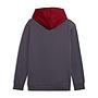 PUMA POWER COLORBLOCK HOODIE FL ΦΟΥΤΕΡ (681731)