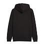 ESS LOGO LAB Holiday FZ Hoodie FL ΖΑΚΕΤΑ PUMA (688191)