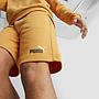 PUMA ESS + 2 Col Shorts10" 586766