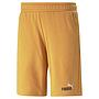 PUMA ESS + 2 Col Shorts10" 586766