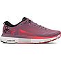 UA W HOVR Infinite 5 Running Low Under Armour 3026550